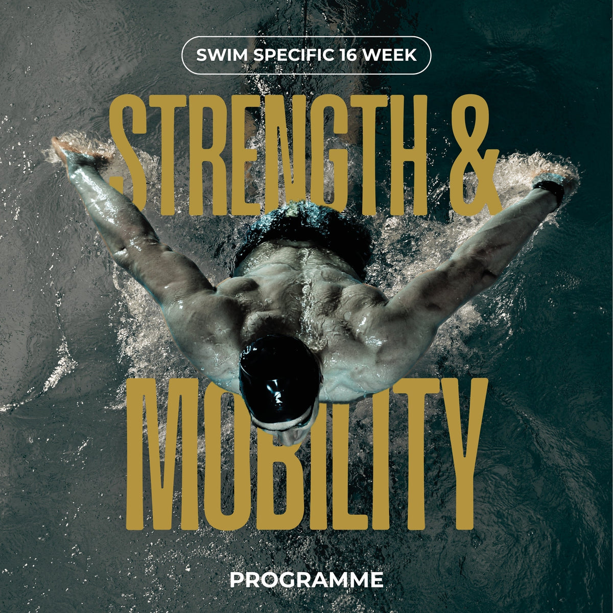 Swim - Specific Strength & Mobility Programme : Weeks 1 - 16