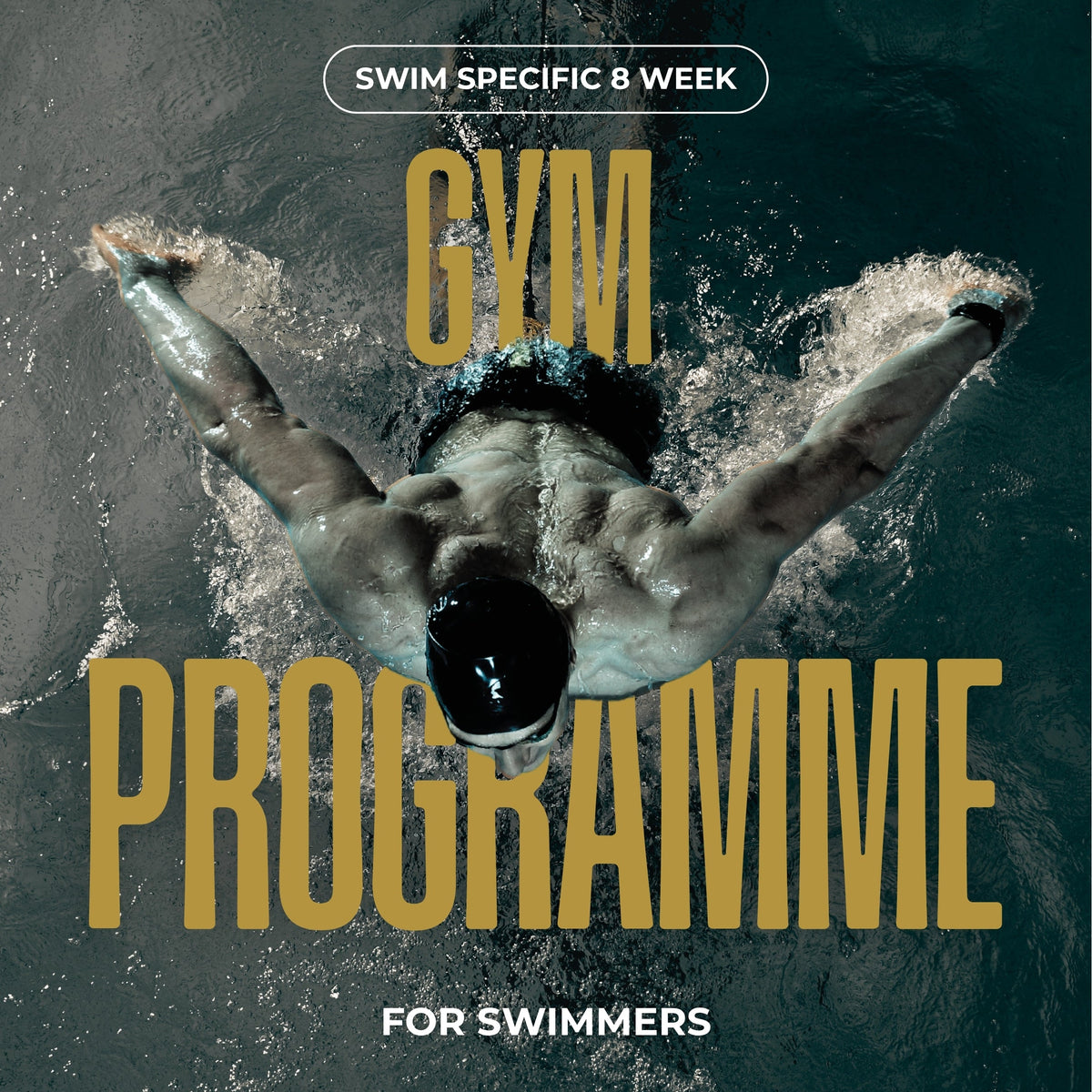 The Swim Faster Gym Program - Unlock Your True Speed (8 Weeks)