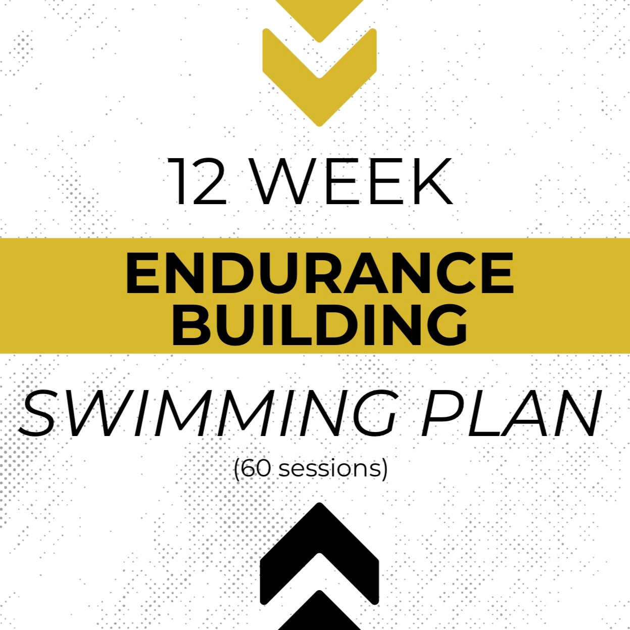 12 Week Endurance Building Plan (60 Session Plans)