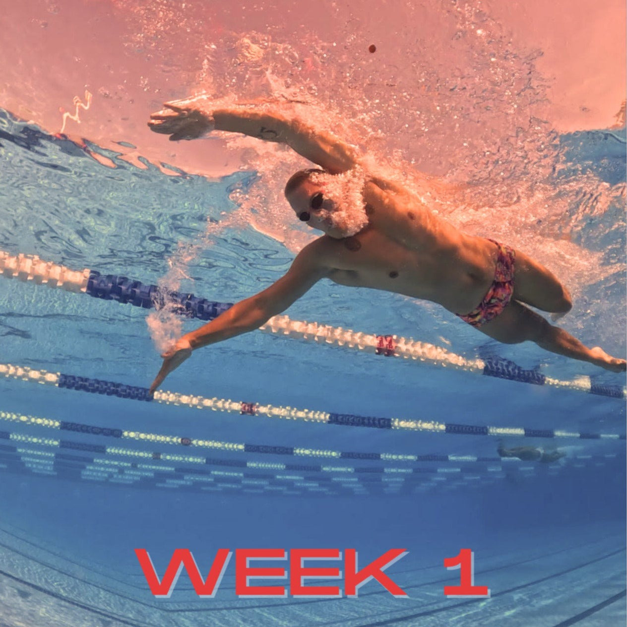 The Ultimate Swim - Specific Strength Programme : Weeks 1 - 16